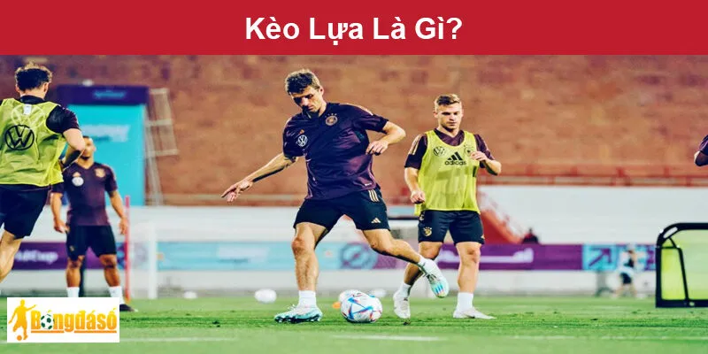 Kèo Lựa Là Gì? Kèo Lựa Là Gì?